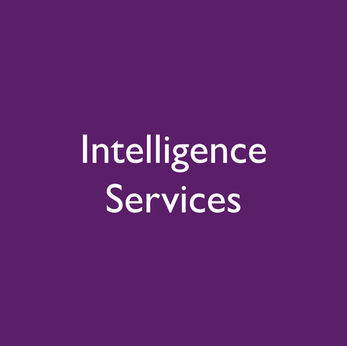 Intelligence Services